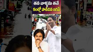 జగన్ మాటతో ఇరుకున పడ్డ పవన్ యాంటీస్  YS Jagan  Pawan Kalyan  Vijayawada  Tollywood Nagaram [upl. by Esbenshade]