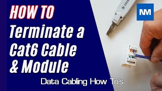 How to Terminate a Cat6 cable and Module [upl. by Farly]