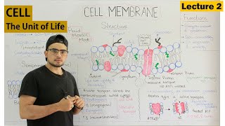 Cell membrane Fluid mosaic model [upl. by Pylle]