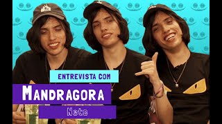 ENTREVISTA COM MANDRAGORA  MUNDO PSICODÉLICO FESTIVAL 2018 [upl. by Arriec]