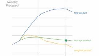 The Theory of Production Marginal Product Average Product [upl. by Einnoj]