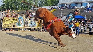 SON TOROS DIFICIL DE QUEDARLES Los Destructores de Memo Ocampo por primera vez en michigan [upl. by Allicsirp101]