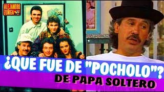 QUE FUE DE POCHOLO DE PAPA SOLTERO [upl. by Llert]