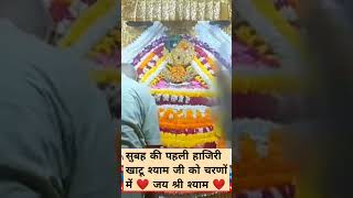 KHATU SHYAM JI AARTI DARSHAN  LIVE  KHATU DHAM SA ❤️ जय श्री श्याम ❤️khatu shyam baba shorts [upl. by Corson]