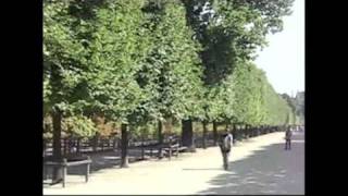 Promenade au Jardin Des Tuileries Pariscentre [upl. by Filberte]