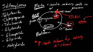 Diabetes Drugs Made Simple [upl. by Esnofla780]