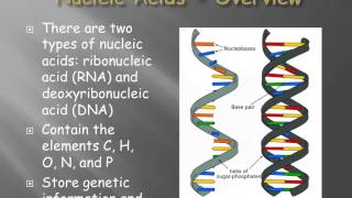 An introduction to biomolecules [upl. by Creighton]