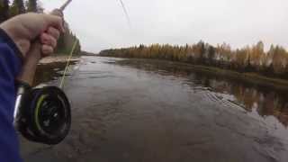 Big Salmon on singlehanded flyrod [upl. by Sairtemed]