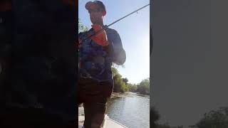 The Australian Saratoga saratoga fishing capeyork australia techniques tips fishingtips [upl. by Wolfram]