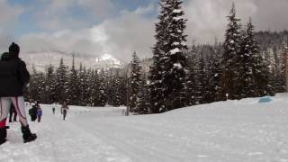 Nordic Skiing Technique  Classic  Step Double Poll [upl. by Namaan]