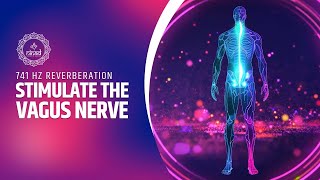 741 Hz Reverberation  Music Therapy To Stimulate The Vagus Nerve  Vagal System Frequency [upl. by Itirp616]