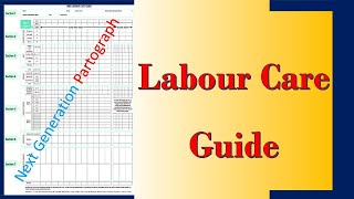 WHO Labour Care Guide  What is the Differences Between Partogram and Labour Care Guide [upl. by Ysirhc]