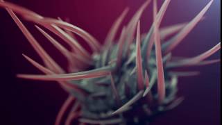 Subsurface Scattering SSS Test in AAE  ELEMENT 3D [upl. by Aivata]