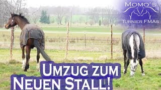 ENDLICH UNSER UMZUG ZUM EIGENEN HOF [upl. by Towill565]