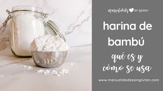 HARINA DE BAMBÚ  Qué es y cómo se usa  en repostería y panes low carb [upl. by Arron]