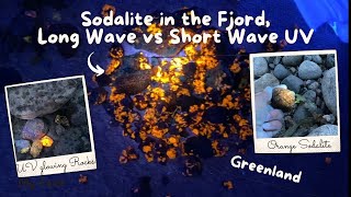 1000s of Glowing minerals its Sodalite in Greenland Longwave vs Shortwave UV light [upl. by Ryder293]