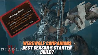 Werewolf Companion Druid best Season5 Starter Diablo 4 Build Theorycraft [upl. by Akir]