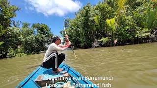 Tiga jenis ikan besar yang berbedaMancing joran bambu [upl. by Carl]