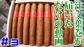 【注文していた葉巻が届いてうれしいだけの動画】その3）パルタガス セリーD No4 香港『cigarsofhabanos』 Partagas serie D NO 4 cigar 葉巻 [upl. by Fira969]