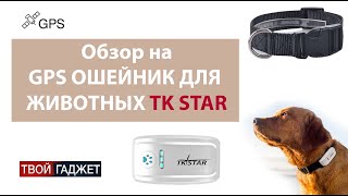 Обзор GPS ошейник для собак и кошек TK Star [upl. by Iey]