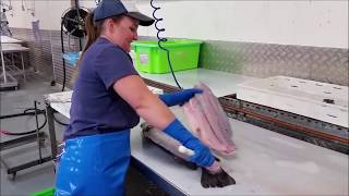 Fishwife Filleting Baramundi [upl. by Uokes]