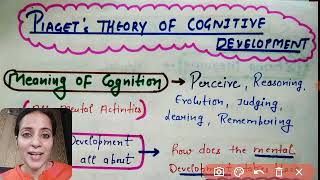 Piaget Theory Of Cognitive developmentSchema theory BEd Notes CDP Ctet [upl. by Sparkie64]