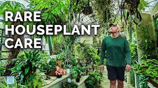 Secret Houseplant Care Tips From a Master Houseplant Grower [upl. by Assiral]