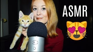 ASMR Chaton 😻 [upl. by Esnohpla80]