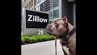 Zillows MASSIVE losses [upl. by Joanne]