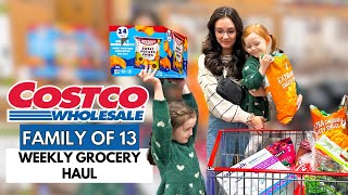 Big Family Big Haul Epic Costco Grocery Loads of Snacks [upl. by Neelav]