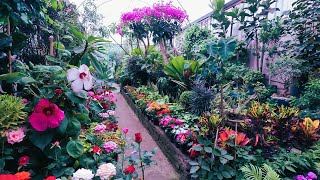 Un paseo por el mercado de plantas y flores en Viveros Coyoacán Ciudad de México 🇲🇽 [upl. by Navy]