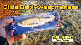 Molix Glide Bait 178 in instant action 🎣🎣🔥🔥🔥 lurefishing molix molixglidebait [upl. by Eelaroc695]