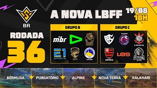 A NOVA LBFF🚨FFWS BR 🏆RODADA 36  GRUPOS B e C  LBFF 🚨 FREEFIRE [upl. by Netsrik]