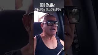 Tributo Tito Rojas El Gallo Quiero hacerte el amor covermusica salsa elgallosalsero pr [upl. by Refinnaej573]