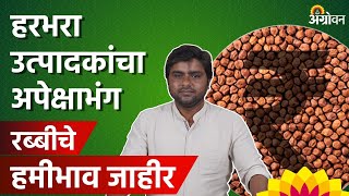 Rabi MSP 202425  मसूरच्या हमीभावात ४२५ रुपयांची वाढ  Agrowon  ॲग्रोवन [upl. by Ennaira]