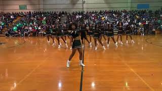 Southeast Raleigh Cheer Homecoming 2019 [upl. by Alderman]