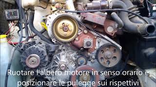 Sostituzione cinghia distribuzione Ford Transit 2500 DI [upl. by Maje844]