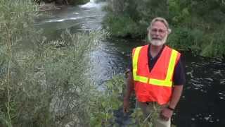 Wastewater Treatment Video 8 Effuent Disposal [upl. by Salot463]