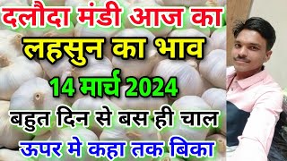 Dalauda mandi garlic rate today 14 मार्च 2024 new garlic rate today  aaj ka lahsun ka bhav [upl. by Clarabelle]