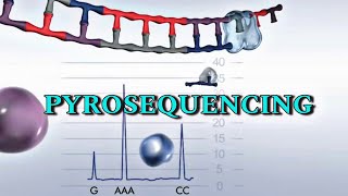 Pyrosequencing  Detail video in Hindi [upl. by Glen824]