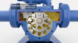 Internal gear Varisco pump How it works [upl. by Janna]