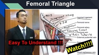 Femoral Triangle  Very Easy To Remember [upl. by Tamra315]