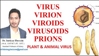 Virus Virion Viroids Virusoids Prions Difference between plant and animal virus [upl. by Akinat]