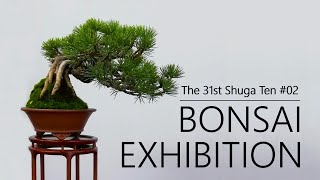 Small and Infinite Shohin Bonsai World｜SHOHIN BONSAI EXHIBITION｜The 31st Shugaten [upl. by Iccir203]