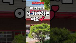 코스트코 9월 29일까지 꼭 가야하는 이유 costco 코스트코 코스트코추천템 코스트코할인 코스트코추천 [upl. by Jewett]