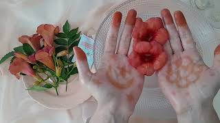 ASMR ☆ Hand Care 🫴 Hand Exfolian amp Hand Massage [upl. by Rosita833]