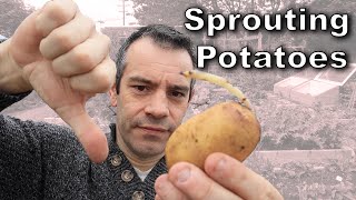 Sprouting Potatoes – Everything You’ll Want to Know [upl. by Ile]