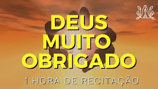 1 HORA DE RECITAÃ‡ÃƒO DE AGRADECIMENTO A DEUS  DEUS MUITO OBRIGADO [upl. by Alyos101]