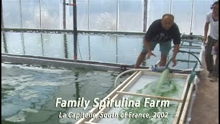 Family Spirulina Algae Farm in France • 2002 [upl. by Whitcomb707]