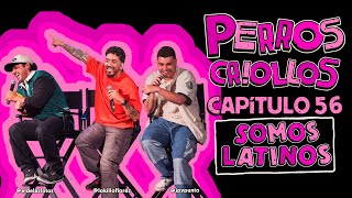 PERROS CRIOLLOS  SOMOS LATINOS CAP 56 [upl. by Merfe583]